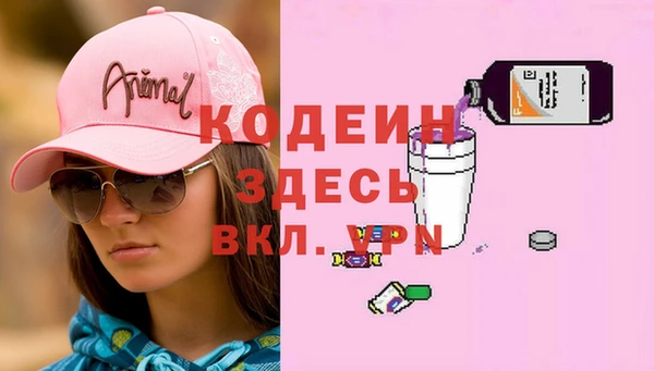 прущие грибы Медвежьегорск
