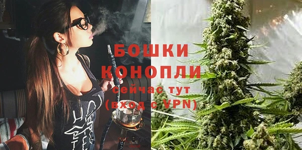 индика Анива