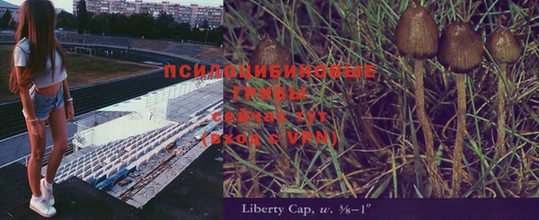 сатива Мегион