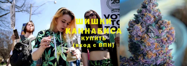 прущие грибы Медвежьегорск