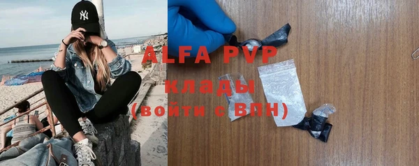 прущие грибы Медвежьегорск