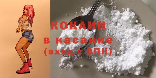 прущие грибы Медвежьегорск