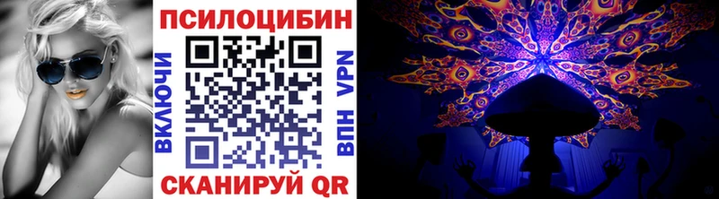 хочу   Невельск  Псилоцибиновые грибы мицелий 