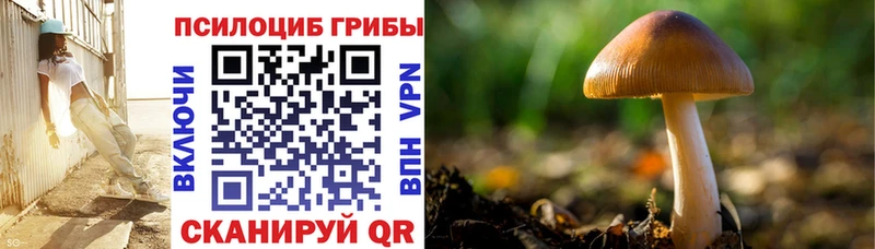 Псилоцибиновые грибы MAGIC MUSHROOMS Невельск